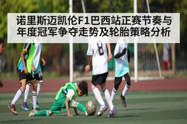 诺里斯迈凯伦F1巴西站正赛节奏与年度冠军争夺走势及轮胎策略分析